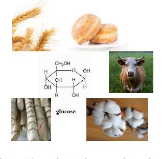 生物基含量